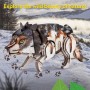 Cubic Fun - National Geographic Animale Salbatice Puzzle 3D Lup Cenusiu 58 piese Cubic Fun - 5